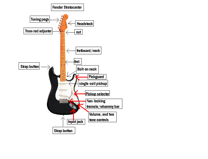Fender Stratocaster Parts Diagram